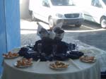 Catering e Animao